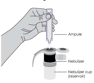 Squeeze all the medicine from the ampule into the nebulizer cup Illustration